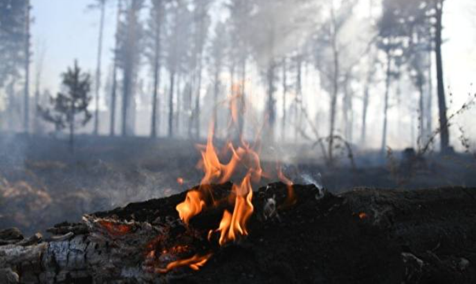 В Якутии неосторожное обращение с огнем стало причиной первых природных пожаров