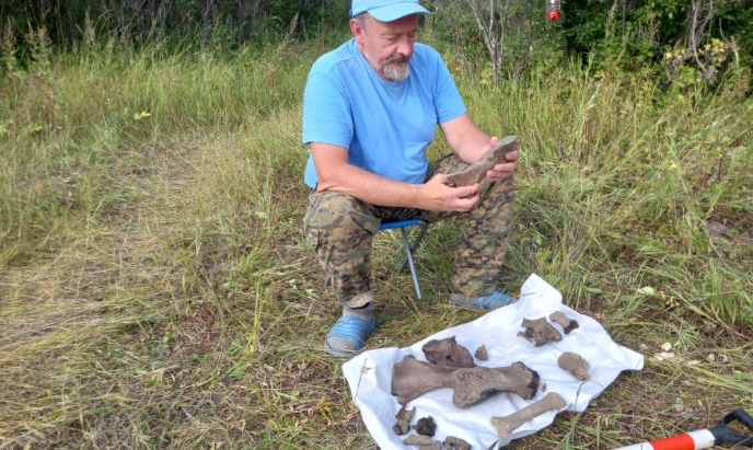 В Чурапчинском районе нашли останки древних животных